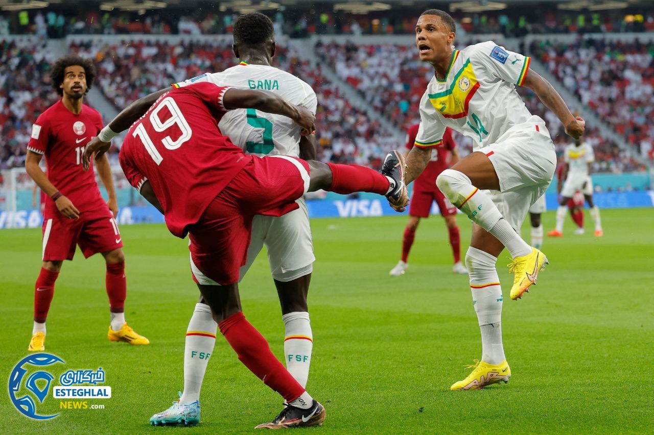 قطر 1-3 سنگال