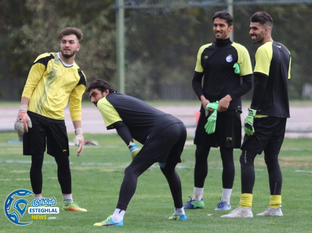 محمدرضا فصیحی