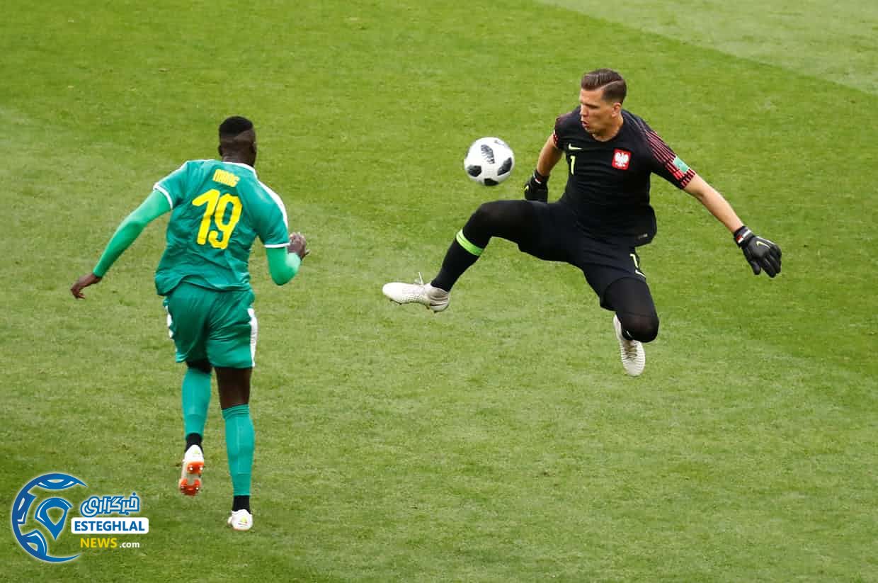     دیدار لهستان و سنگال