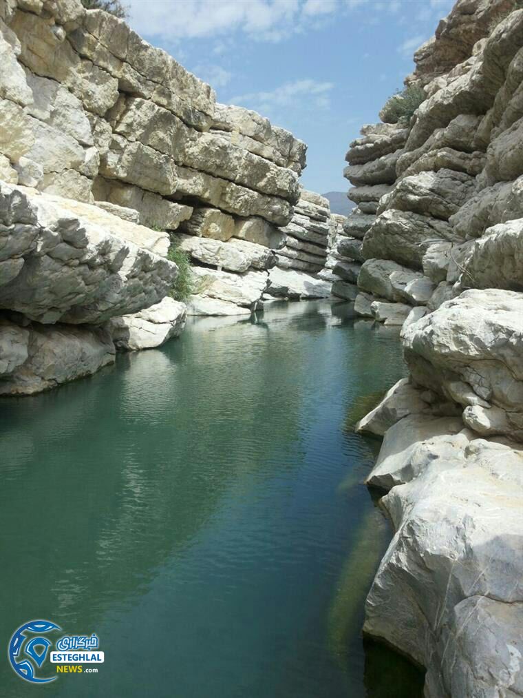 علت فوت غلام نژاد