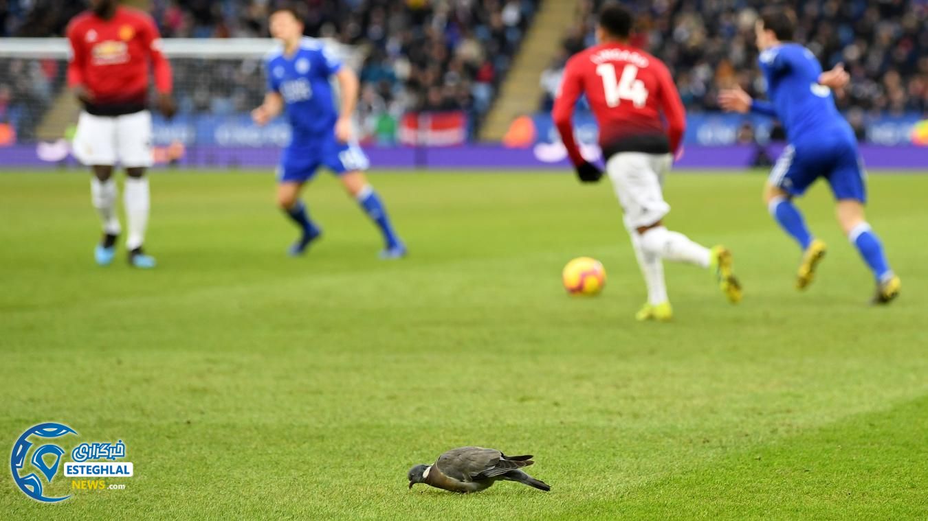 لیگ برتر انگلیس