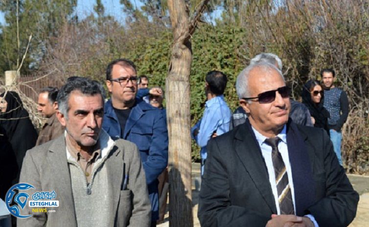 جعفر مختاری فر