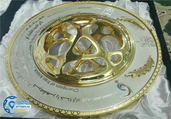 کاپ جام حذفی