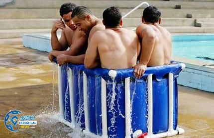 dogs wideweb 430x279