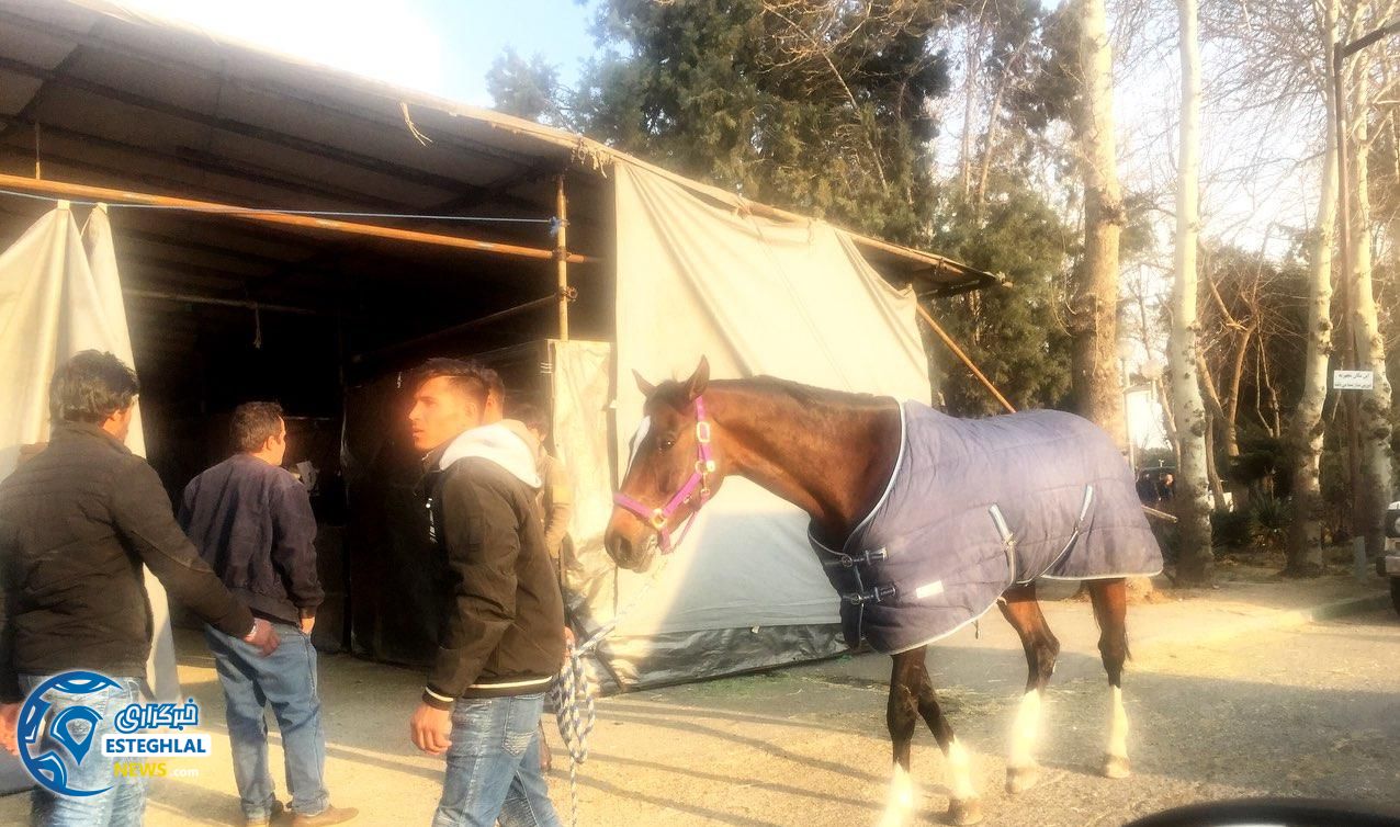 حواشی دیدار استقلال و ذوب آهن