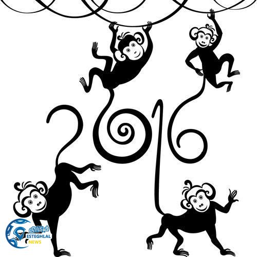 photo 2016 02 09 21 16 17