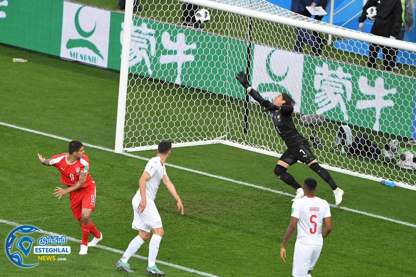  دیدار صربستان و سوئیس