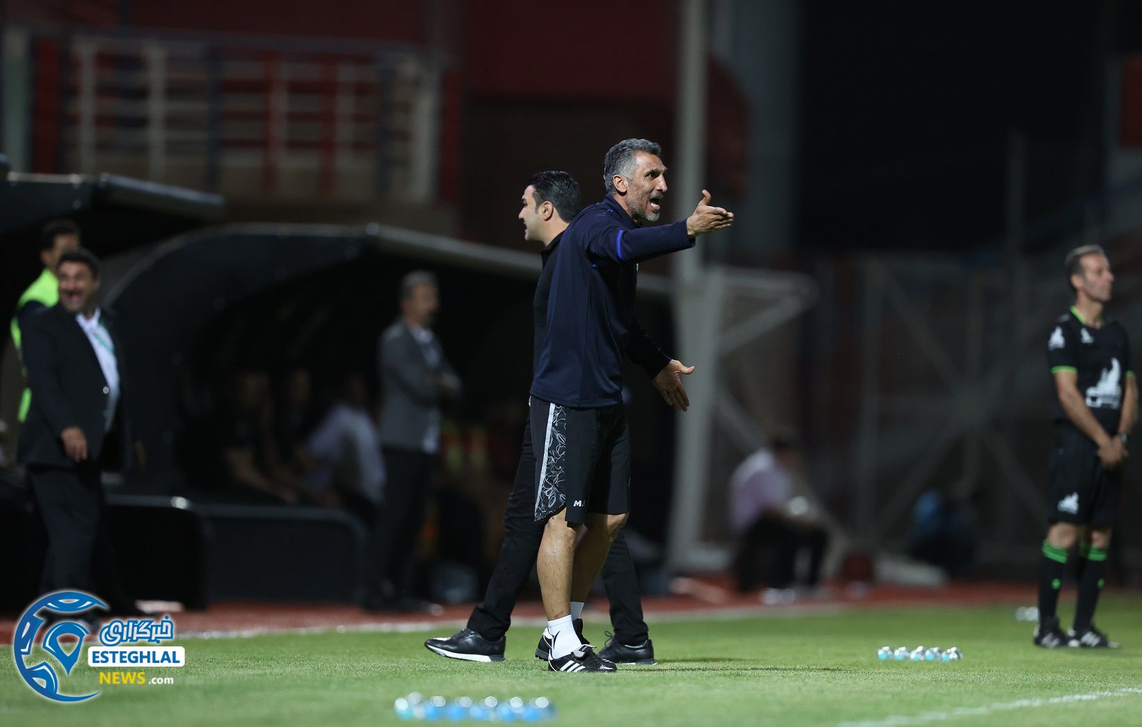 مهدی هاشمینسب