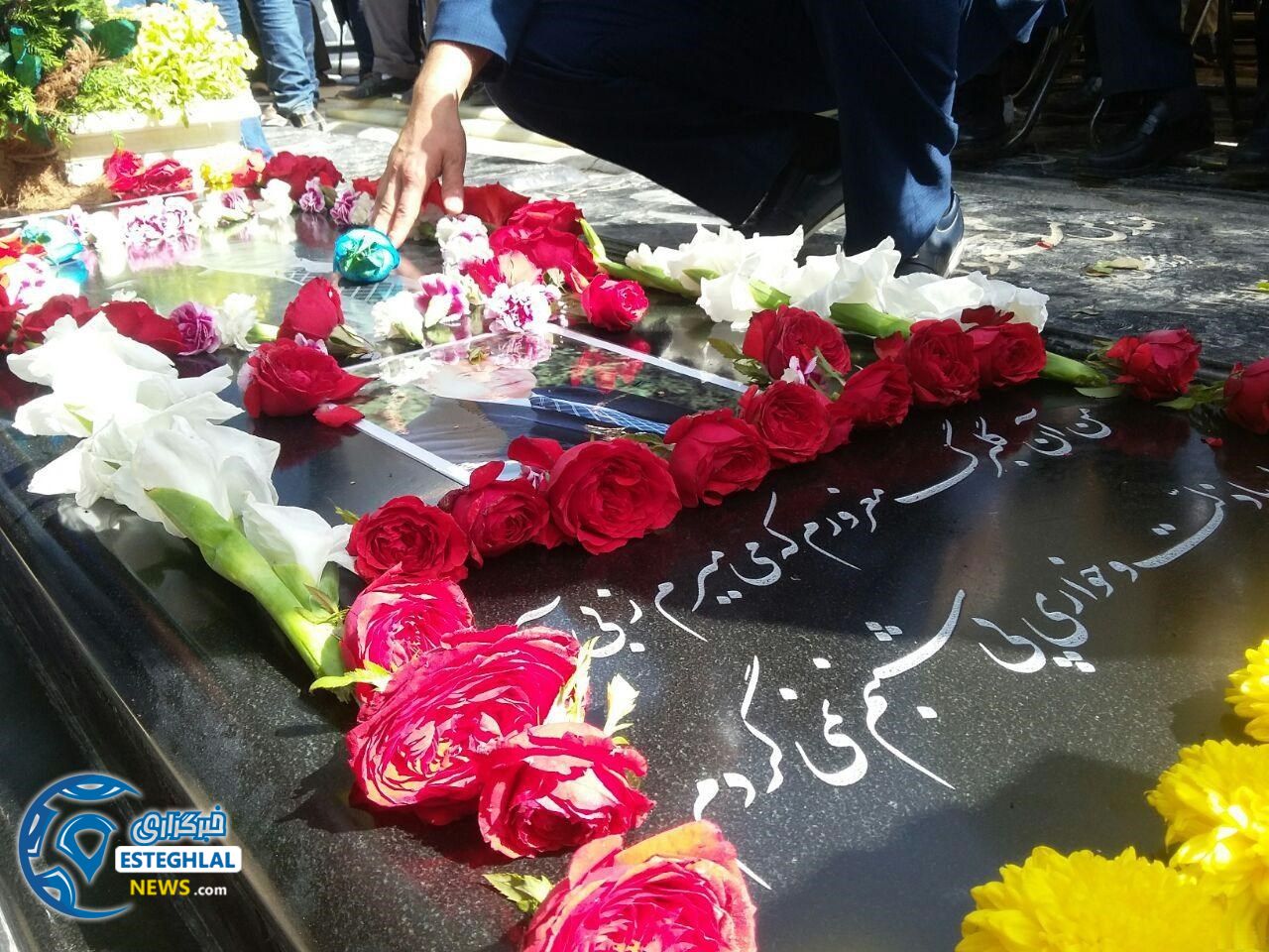 8a9a532d 675c 45bd ab0d 2ec94be52682