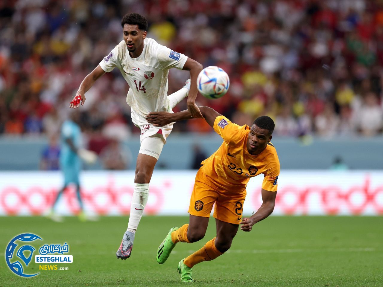هلند 2-0 قطر