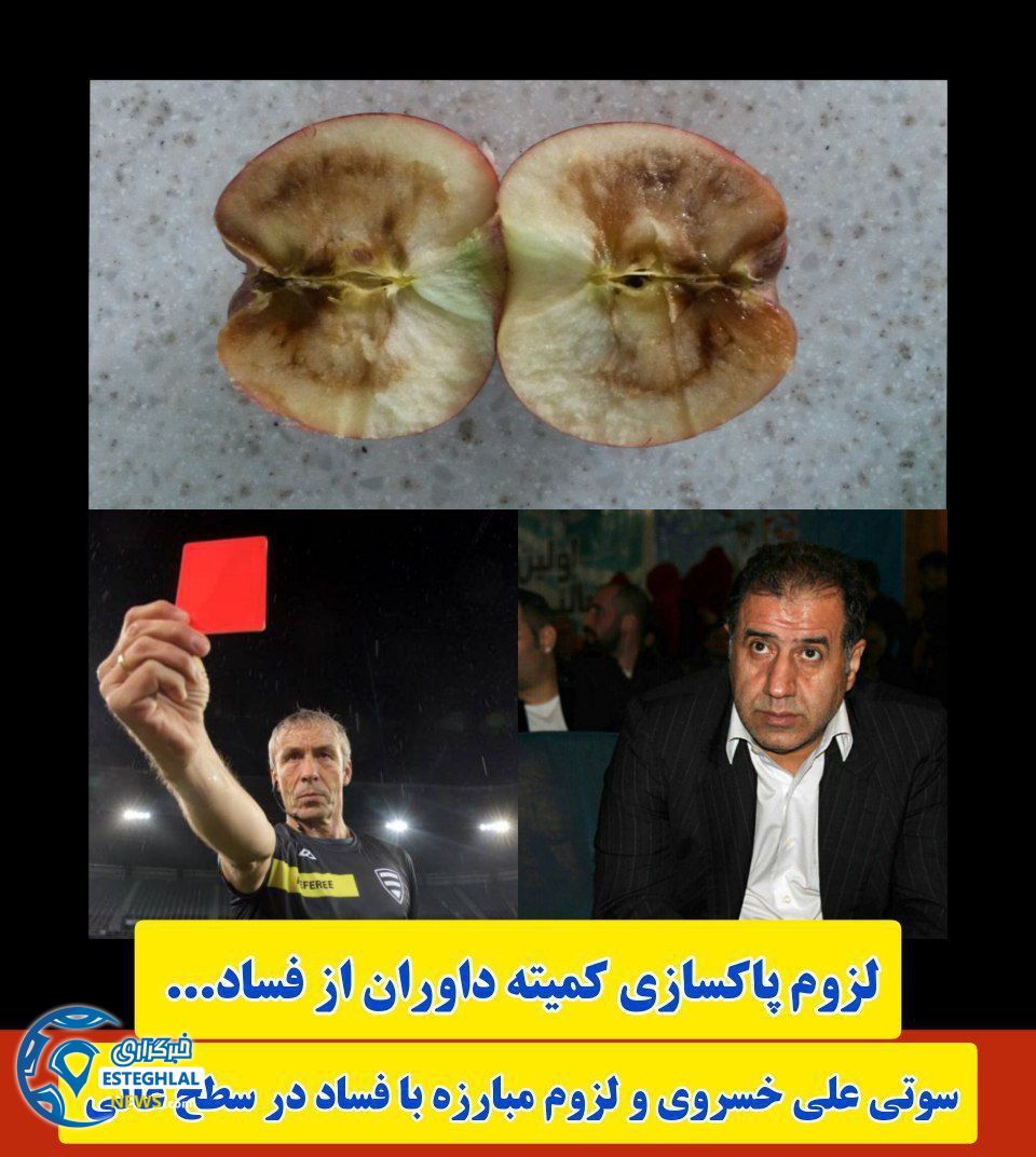 مافیا داوری