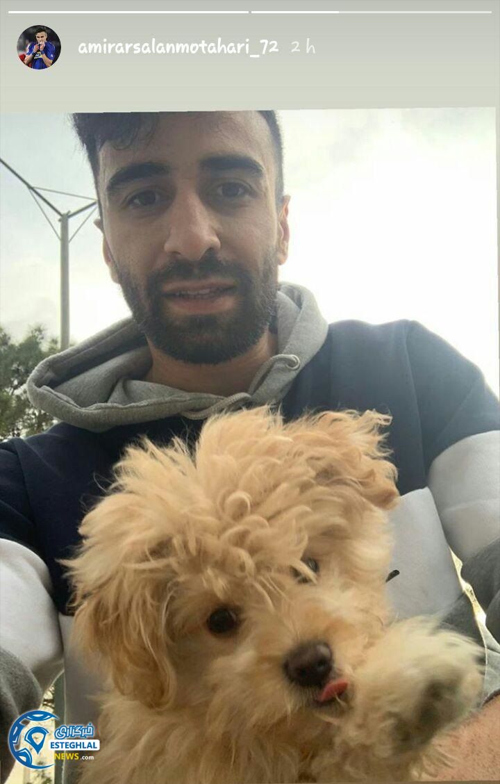 ارسلان مطهری